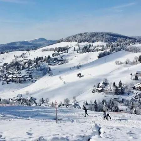 Apartment Buehlhof Gaestehaus 4 *