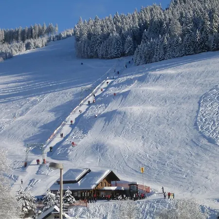 Buehlhof Gaestehaus 4 * Todtnauberg